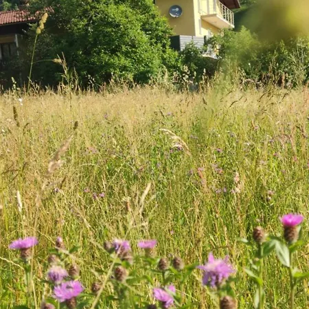 Apartma Tia&mia Apartma Tolmin